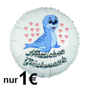 1-Euro-Ballon-Happy-Birthday-Seehund-Geschenk-zum-Geburtstag